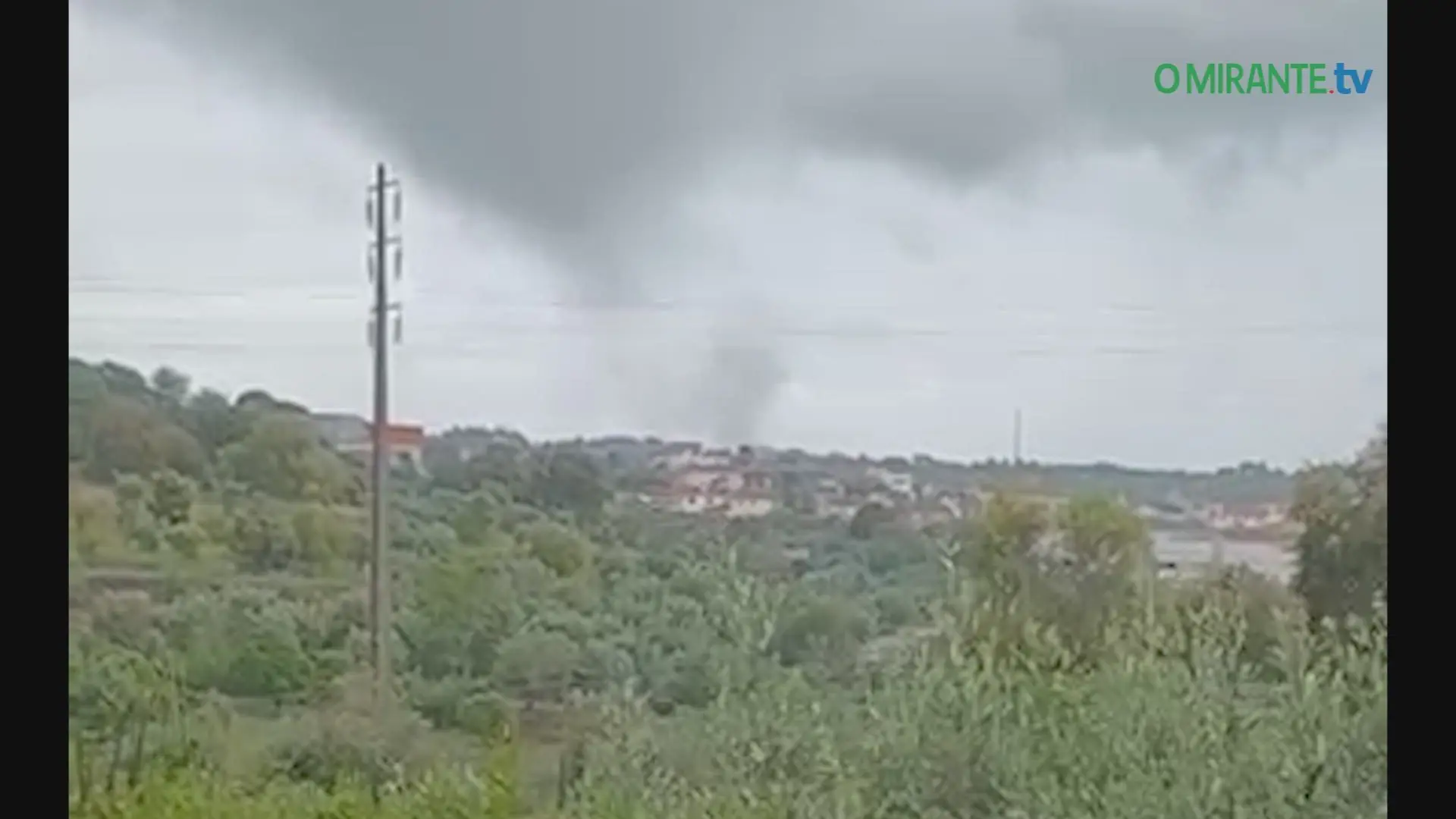 Vento forte causa danos no Sardoal