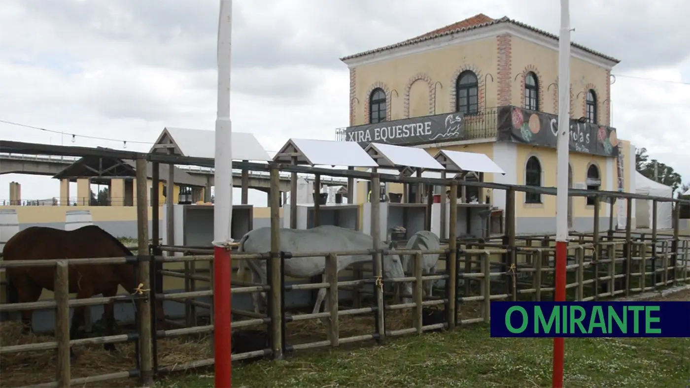 Vila Franca de Xira é a capital do cavalo este fim-de-semana