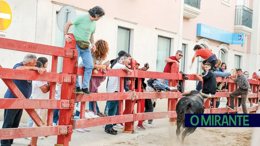 Queixas ao método de colocação de tronqueiras para a Feira de Maio em Azambuja Queixas ao método de colocação de tronqueiras para a Feira de Maio em Azambuja
