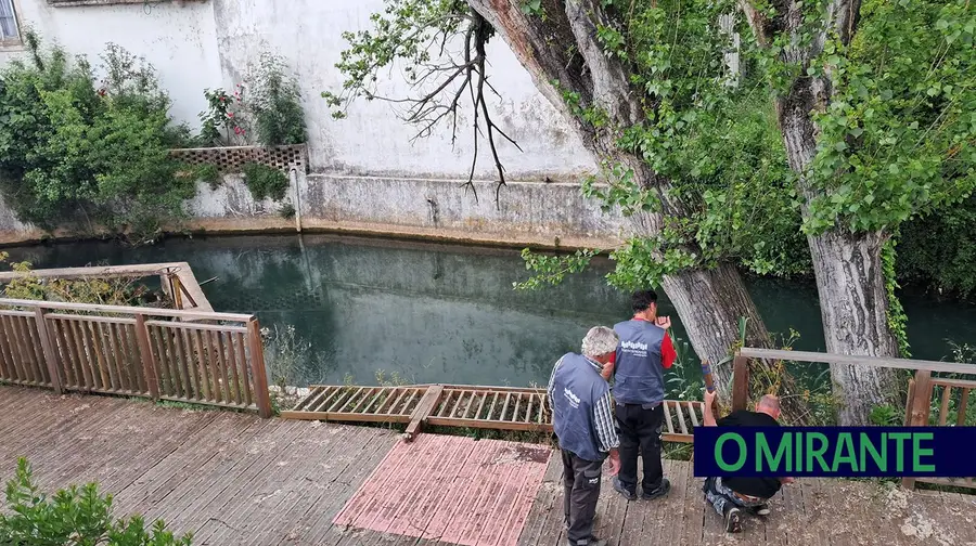 Vandalizados passadiços junto ao Rio Almonda Vandalizados passadiços junto ao Rio Almonda