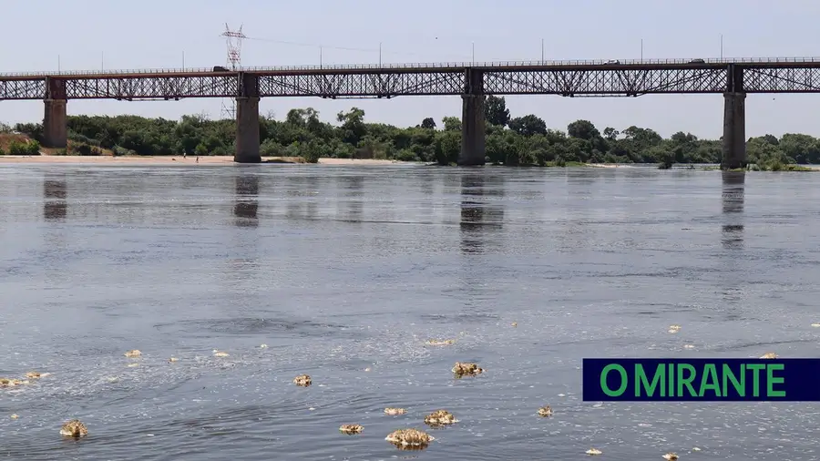 Oscilações acentuadas de caudal no Tejo devido a intervenção na Barragem do Fratel Oscilações acentuadas de caudal no Tejo devido a intervenção na Barragem do Fratel