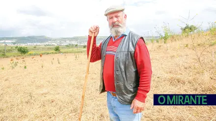 Manuel Ribeiro fez do trabalho a sua forma de vencer na vida Manuel Ribeiro fez do trabalho a sua forma de vencer na vida