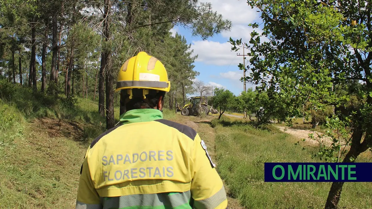 Sapadores Florestais: os guardiões do património natural da região