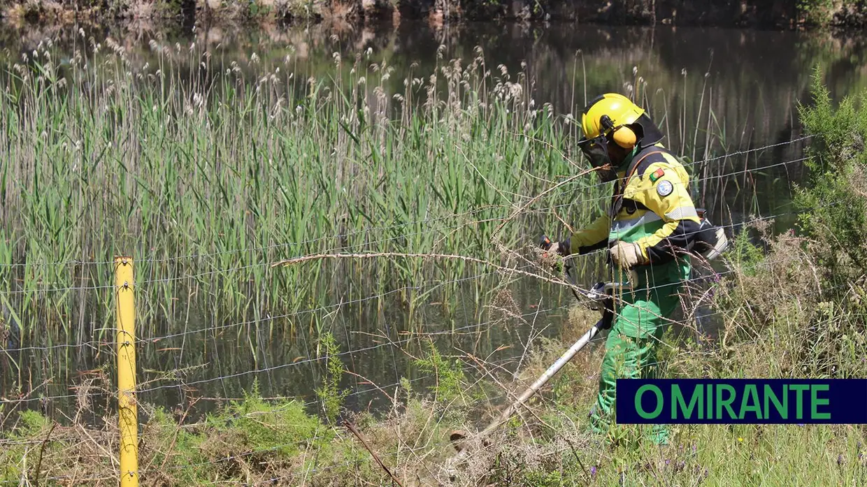 Sapadores Florestais: os guardiões do património natural da região
