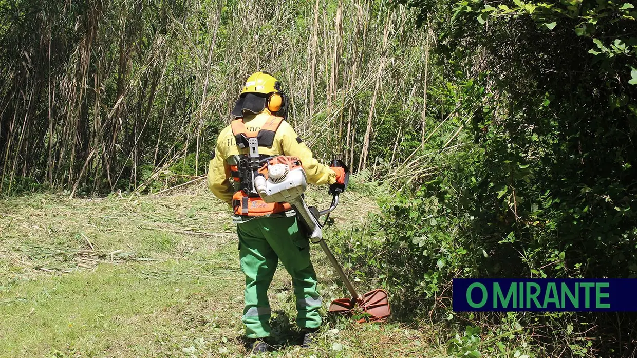 Sapadores Florestais: os guardiões do património natural da região