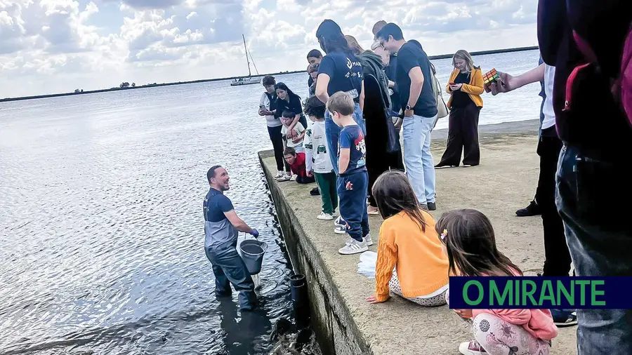 Investigadores dinamizaram actividades em Alhandra no “MARE à Beira Rio” Investigadores dinamizaram actividades em Alhandra no “MARE à Beira Rio”