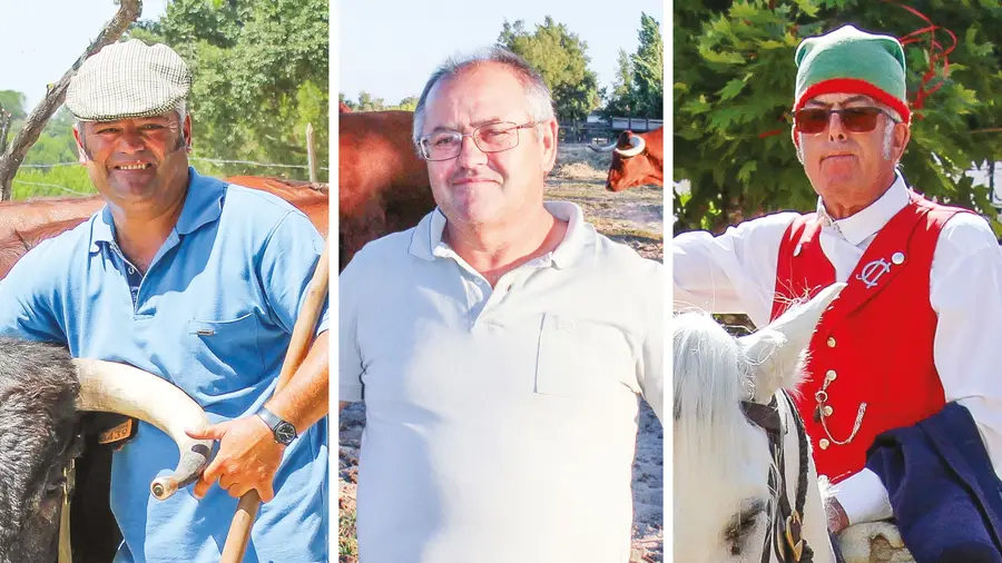 Última Página de Honra Última Página de Honra