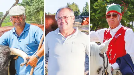 Última Página de Honra