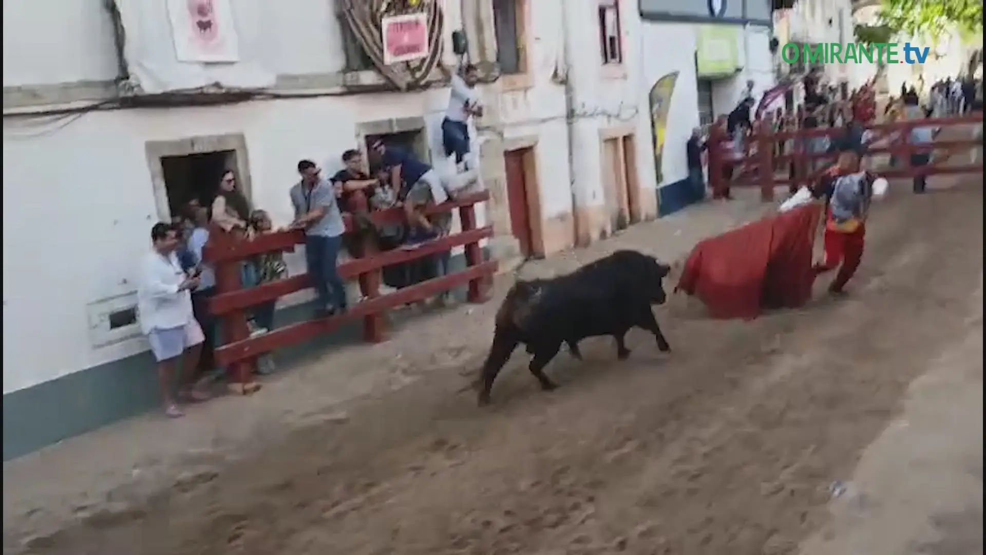 Primeira largada de toiros da Feira de Maio em Azambuja