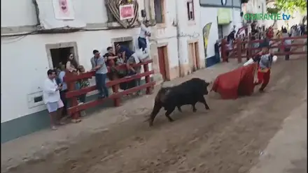 Primeira largada de toiros da Feira de Maio em Azambuja
