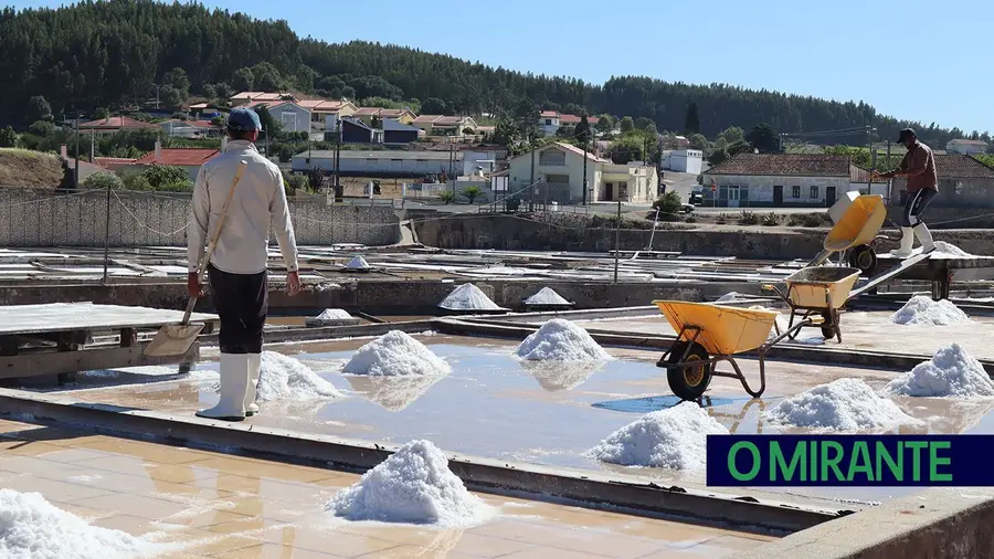 Comissão Europeia aprova indicação geográfica do Sal de Rio Maior