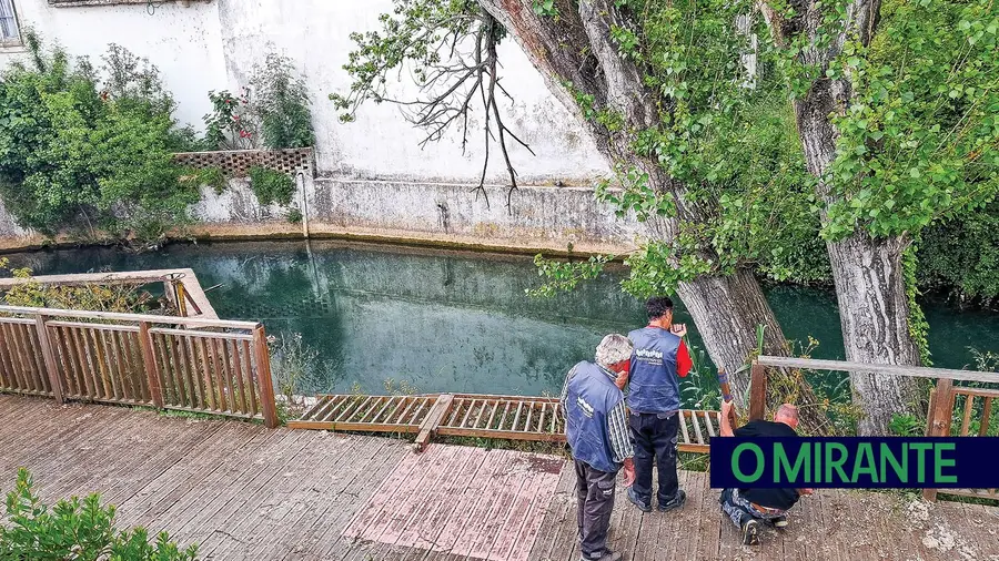 Vandalizados passadiços junto ao rio Almonda Vandalizados passadiços junto ao rio Almonda