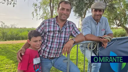 Samora Equestre estreia-se na zona ribeirinha de Samora Correia