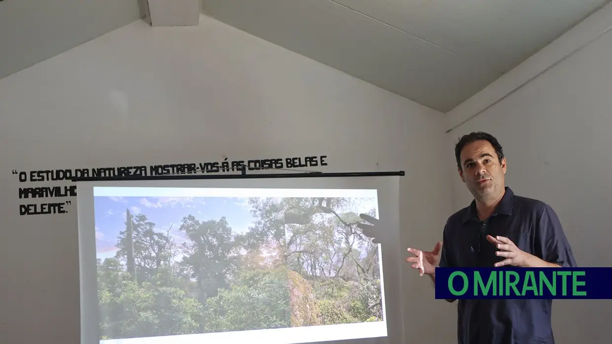 Torres Novas lança projecto pioneiro para reflorestar Serra de Aire