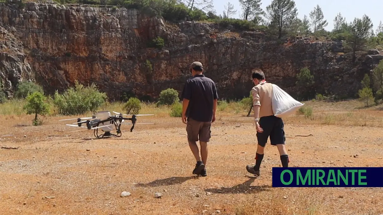 Torres Novas lança projecto pioneiro para reflorestar Serra de Aire