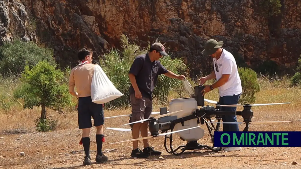 Torres Novas lança projecto pioneiro para reflorestar Serra de Aire