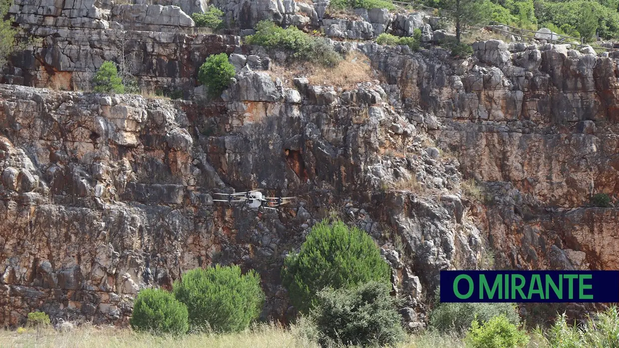 Torres Novas lança projecto pioneiro para reflorestar Serra de Aire