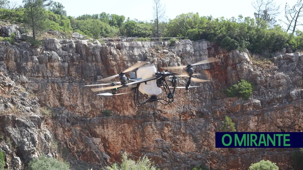 Torres Novas lança projecto pioneiro para reflorestar Serra de Aire