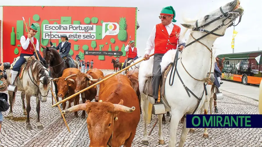 Dia de Santarém na Feira de Agricultura é a 13 de Junho