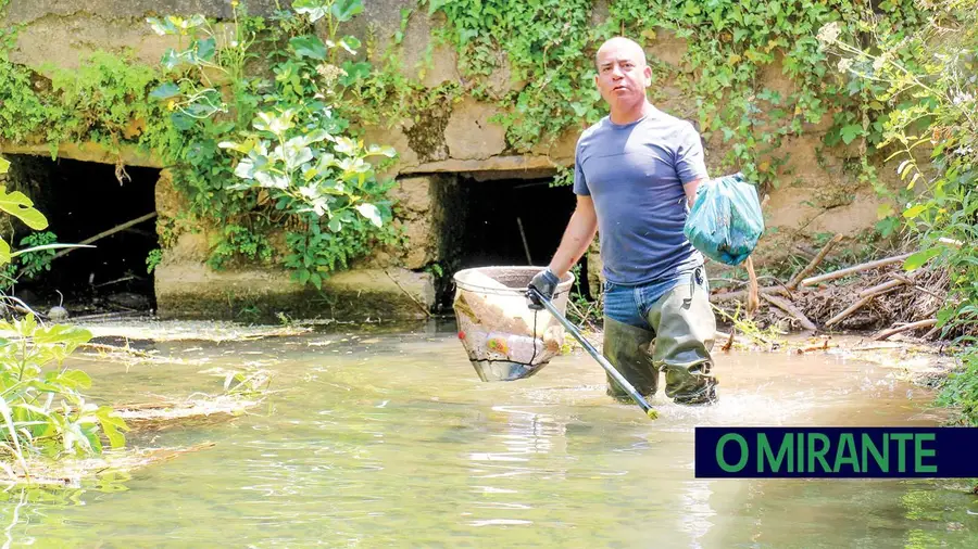 Guarda-rios renasceram em Torres Novas para limpar e proteger o rio Almonda Guarda-rios renasceram em Torres Novas para limpar e proteger o rio Almonda