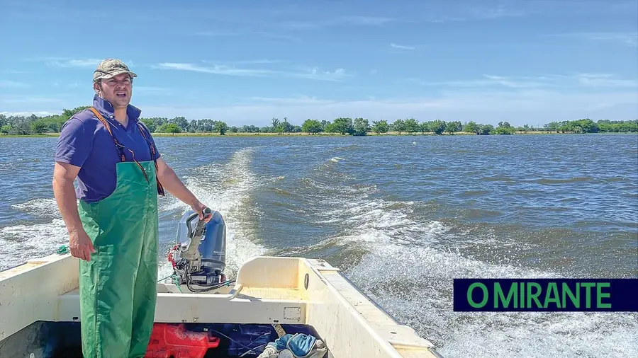 Há quem viva da pesca com orgulho e paixão em Salvaterra de Magos Há quem viva da pesca com orgulho e paixão em Salvaterra de Magos