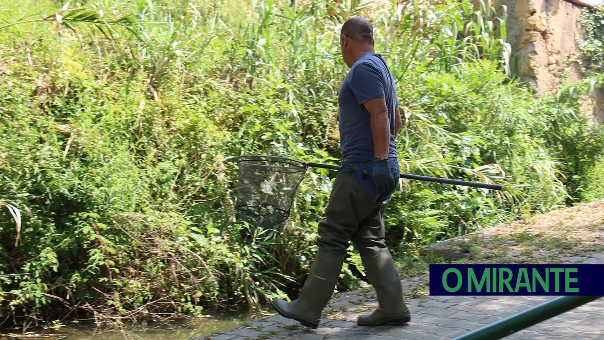 Guarda-Rios renasceram em Torres Novas para limpar e proteger o rio Almonda