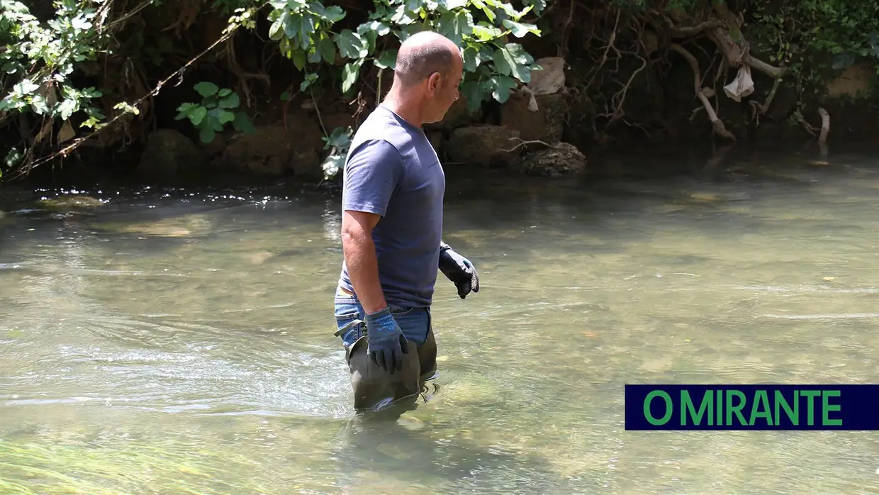 Guarda-Rios renasceram em Torres Novas para limpar e proteger o rio Almonda
