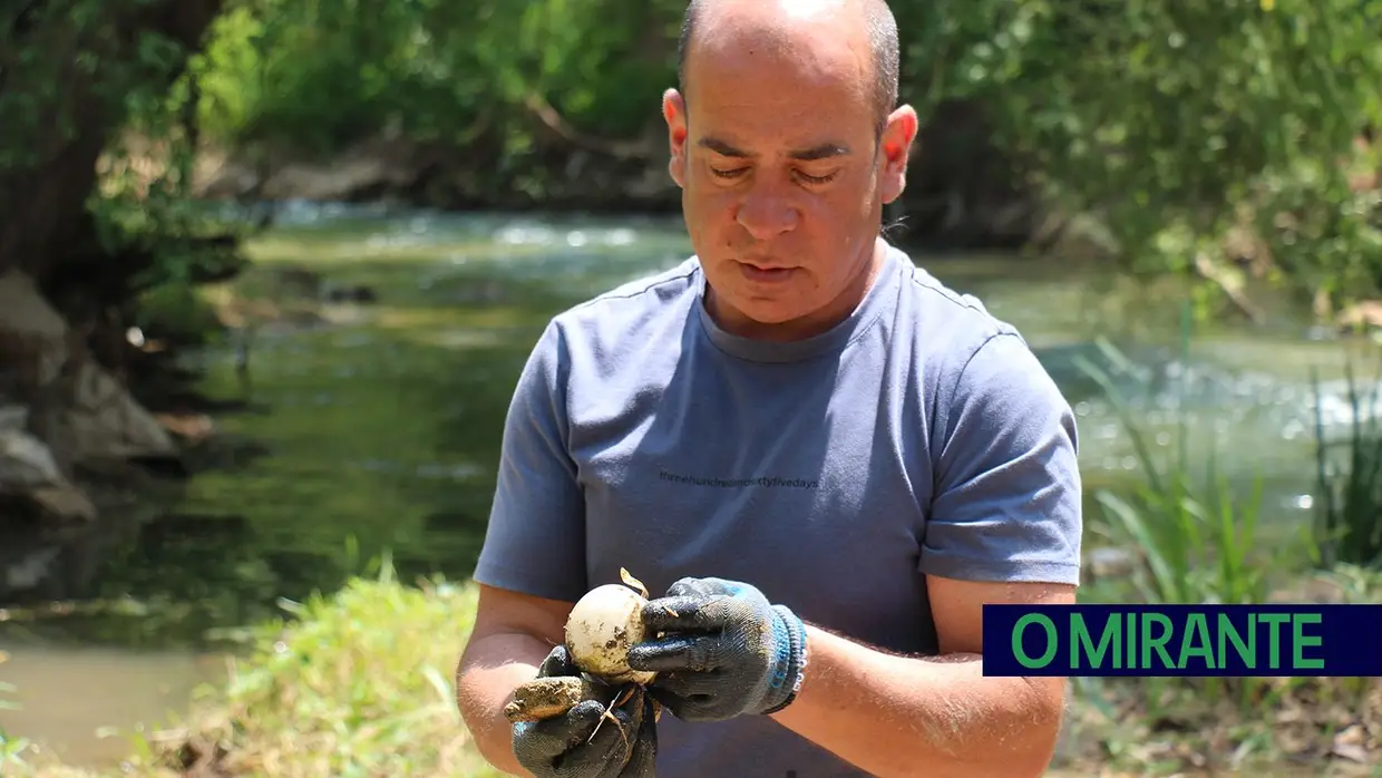Guarda-Rios renasceram em Torres Novas para limpar e proteger o rio Almonda