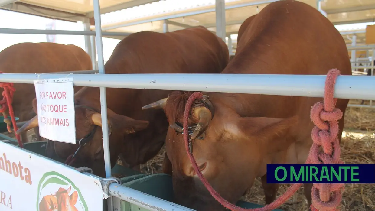 Feira Nacional de Agricultura em Santarém até 15 de Junho