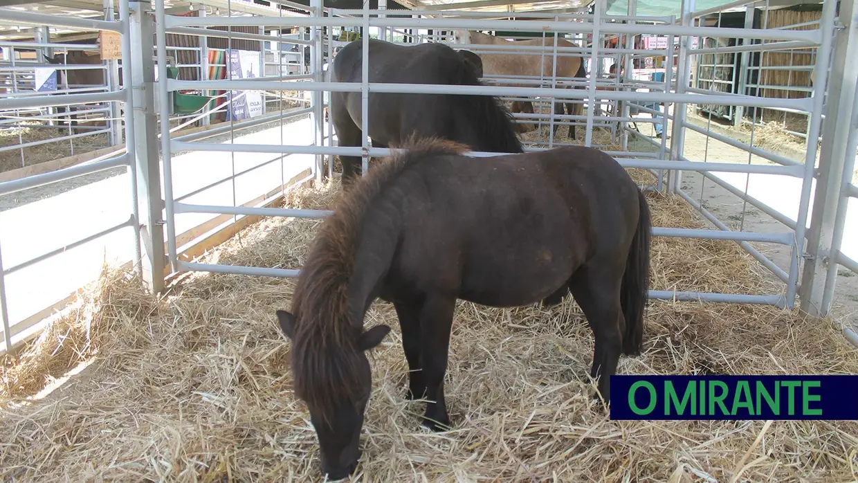 Feira Nacional de Agricultura em Santarém até 15 de Junho