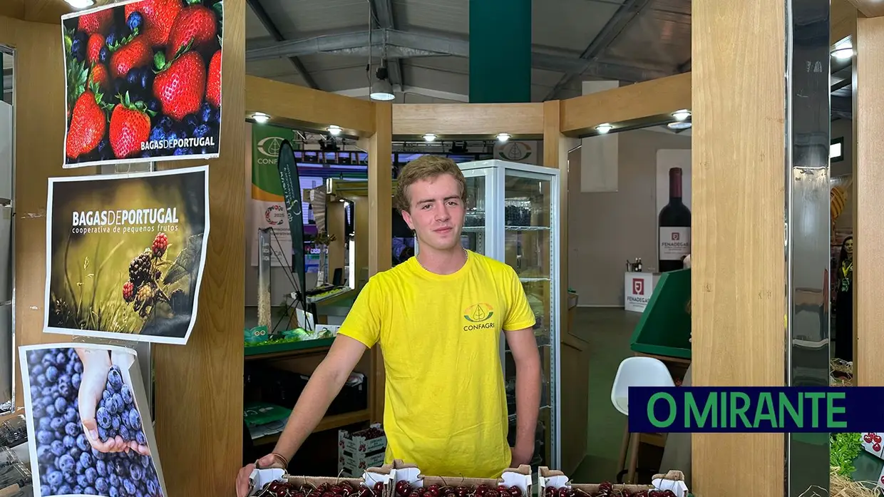 Empresas e empresários na Feira de agricultura II