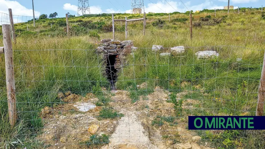 Pular a cerca Pular a cerca