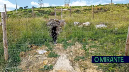 Pular a cerca Pular a cerca
