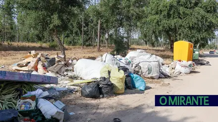 Rua do Pinhal em Salvaterra de Magos está imunda por falta de civismo