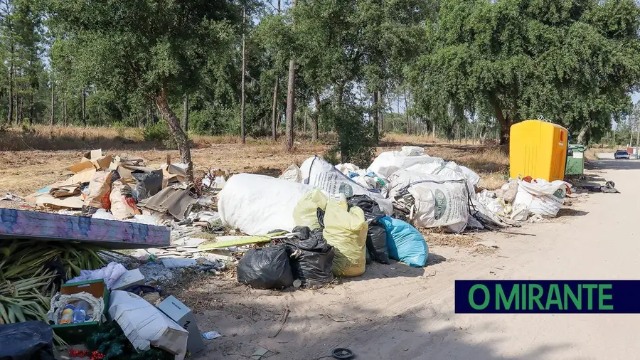 Rua do Pinhal em Salvaterra de Magos está imunda por falta de civismo
