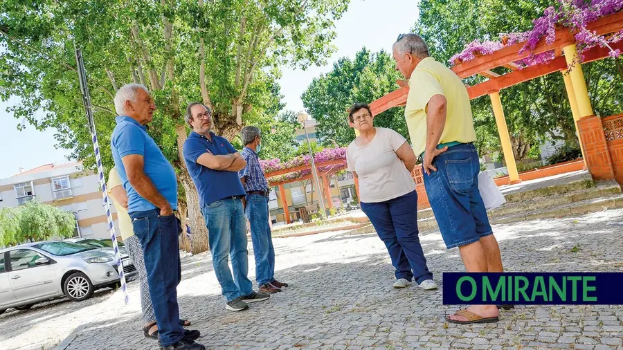 Árvores problemáticas em Alverca voltam a dar dores de cabeça