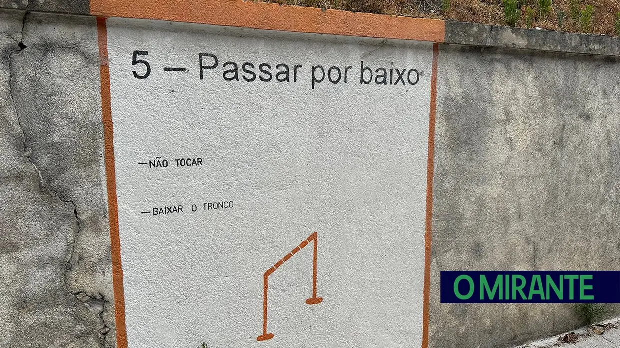 Projecto escolar nacional de promoção da bicicleta em Torres Novas