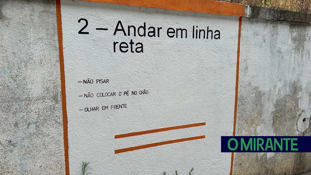 Projecto escolar nacional de promoção da bicicleta em Torres Novas