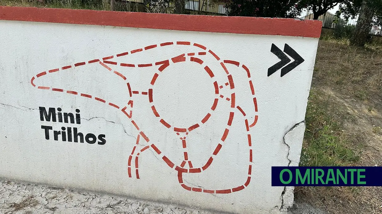 Projecto escolar nacional de promoção da bicicleta em Torres Novas