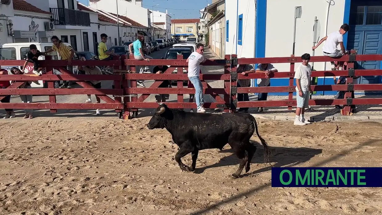 Festa da Sardinha Assada está de volta a Benavente
