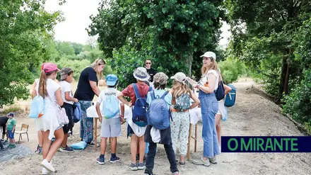 Crianças e idosos aprendem juntos a proteger o meio-ambiente em Azambuja