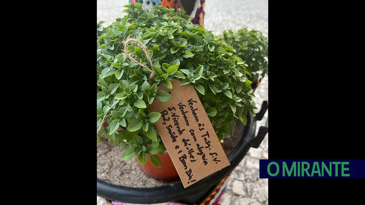 Concurso Compotas das Tasquinhas do Alviela com participação recorde