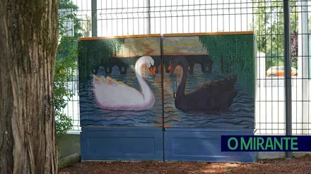 Projecto Galeria de Arte conta já com 50 obras em Tomar