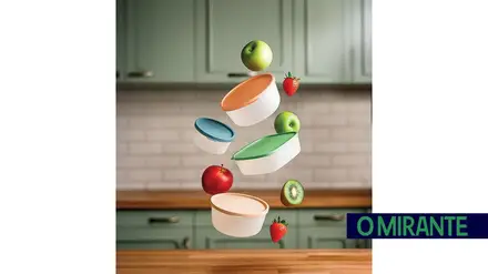 Nós, os plásticos, não somos todos iguais!