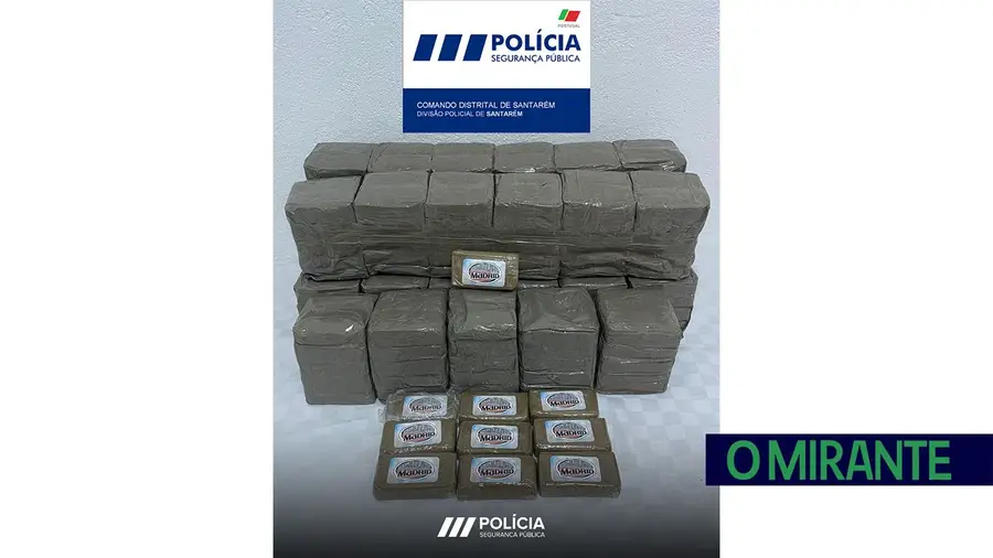 Sete detidos por tráfico de droga em Santarém Sete detidos por tráfico de droga em Santarém