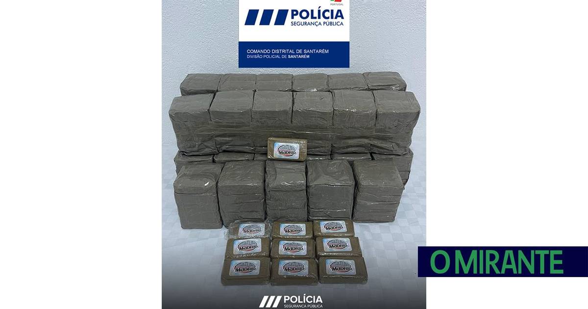 Sete detidos por tráfico de droga em Santarém