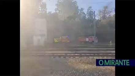 Restabelecida circulação ferroviária entre Setil e Vale de Santarém