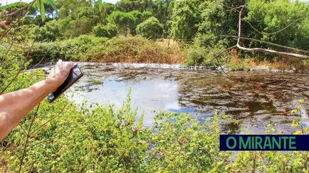 Empresa de família de Carreiro da Areia investigada por alegadas descargas poluentes em Setúbal Empresa de família de Carreiro da Areia investigada por alegadas descargas poluentes em Setúbal