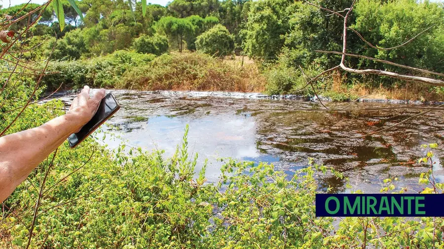Empresa de família de Carreiro da Areia investigada por alegadas descargas poluentes em Setúbal