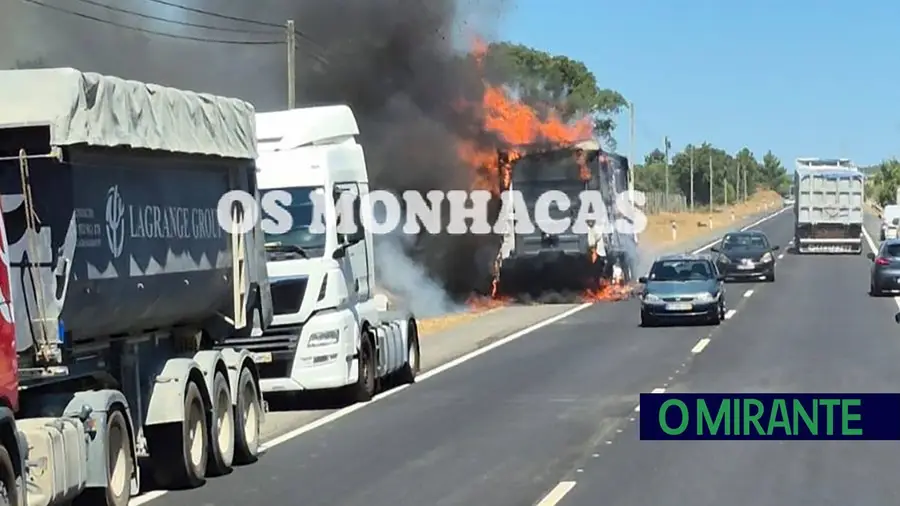 Camião carregado de papel incendeia-se na EN366 e chamas alastram a zona de mato
